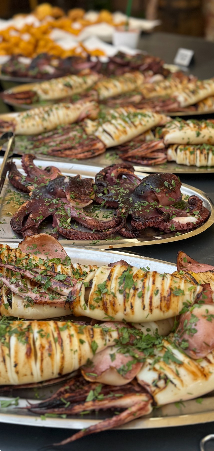 Calamari e polpo grigliati.